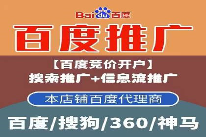 搜索引擎竞价推广实战：行业领先企业的成功秘诀